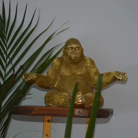 Evasion Et Detente A La Nogalera Torremolinos